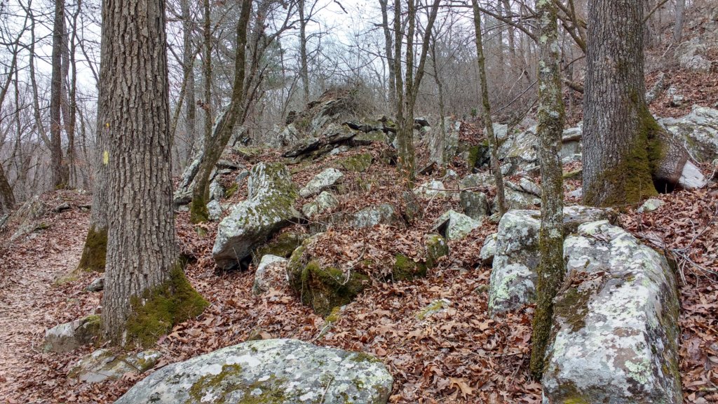 img_20171229_124559732_hdr.jpg