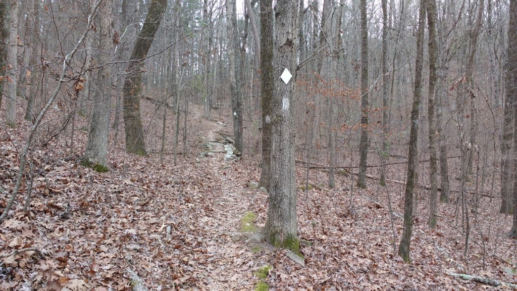 img_20171229_132552254.jpg