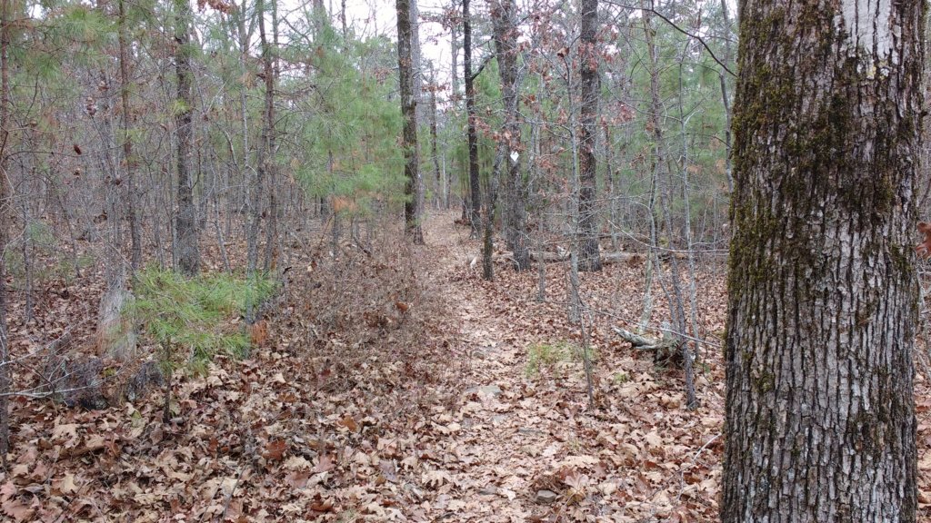 img_20171229_134001833.jpg