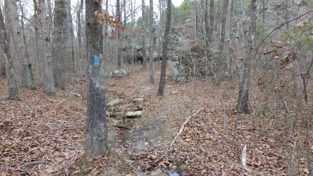 img_20171229_140123387.jpg