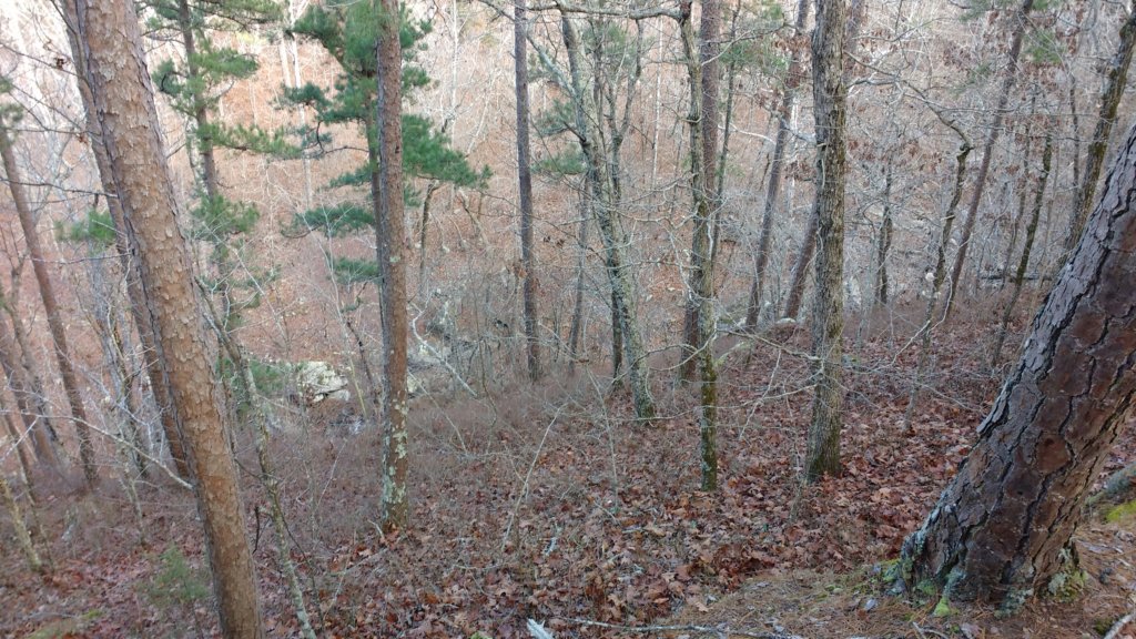 img_20171229_104127265.jpg