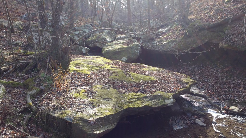 img_20171229_104630055.jpg