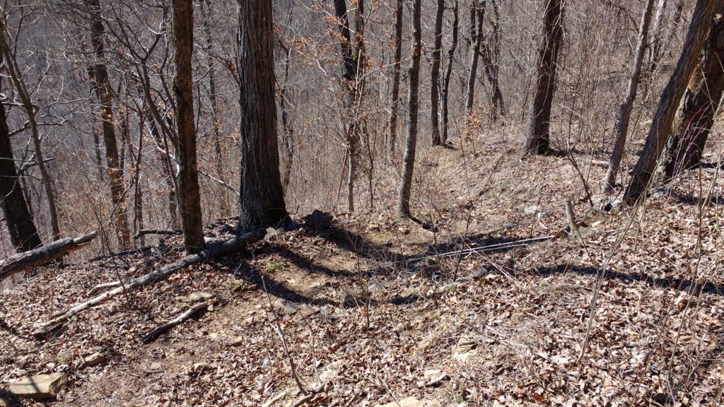 img_20180302_113017557.jpg
