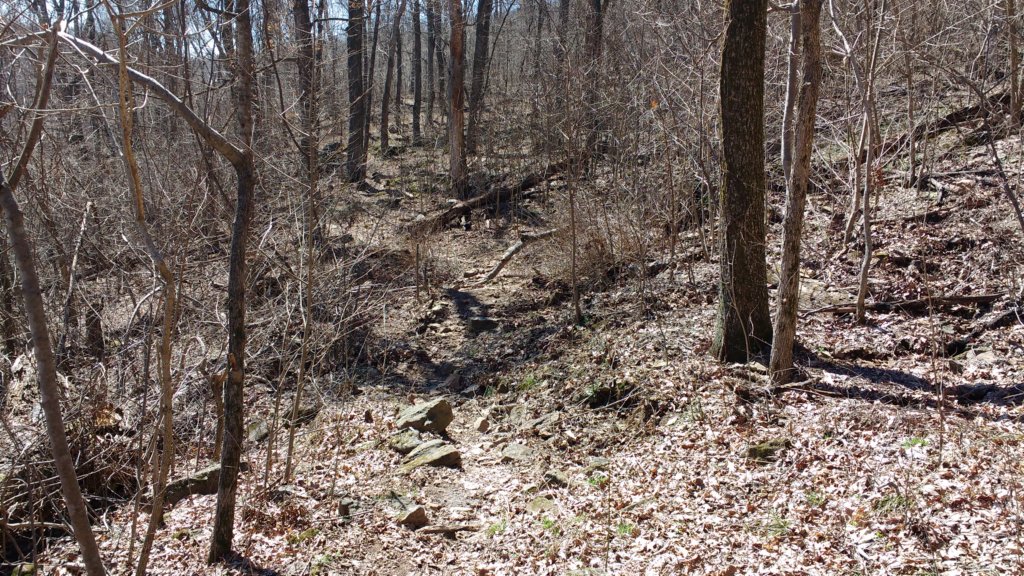img_20180302_113527919.jpg