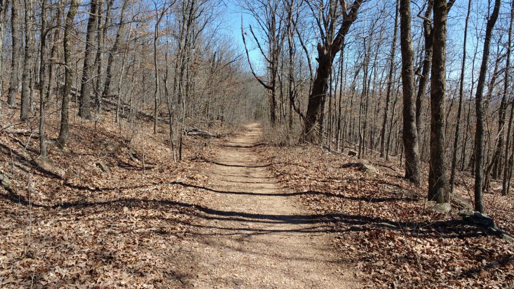 img_20180302_115451285.jpg