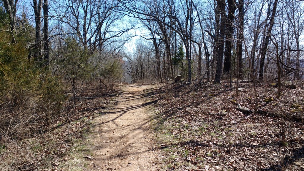 img_20180302_120226203.jpg