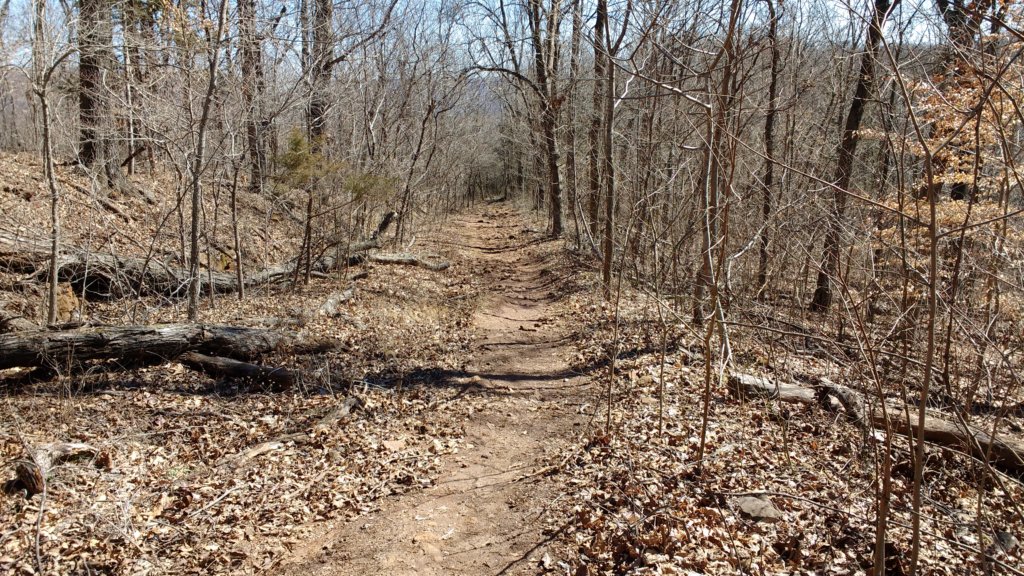 img_20180302_120713835.jpg