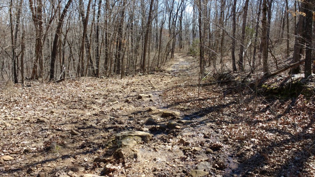 img_20180302_122851814.jpg