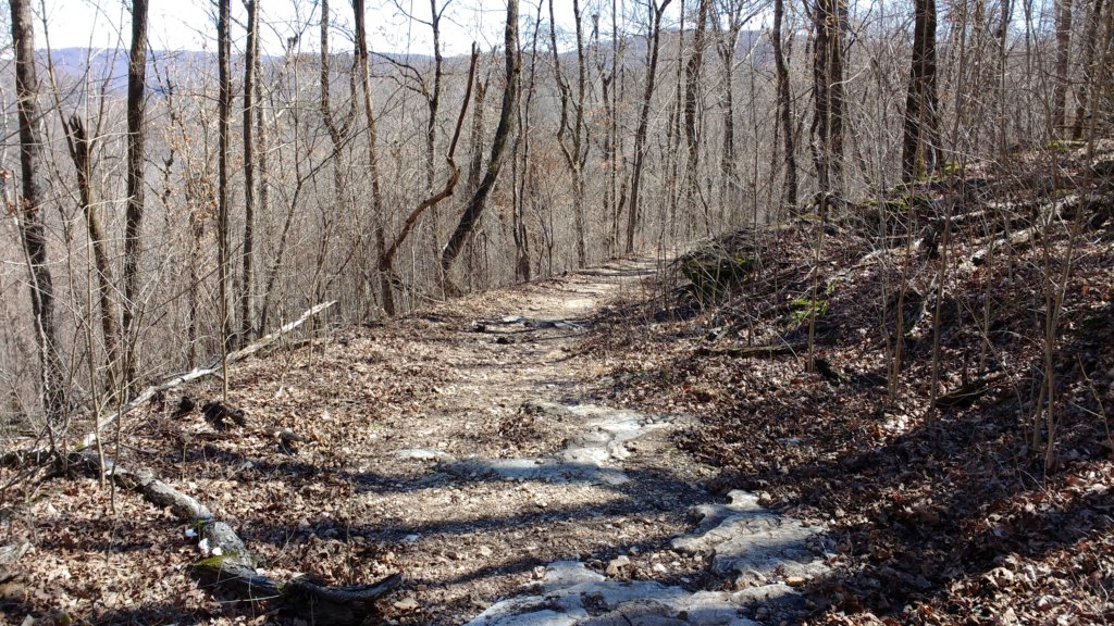 img_20180302_123339117.jpg