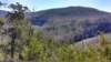 img_20180302_125151559_hdr_small.jpg