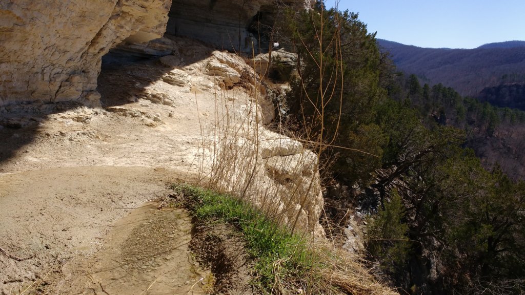 img_20180302_130315594.jpg