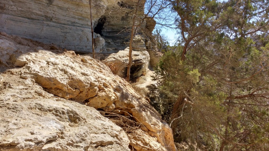img_20180302_130414274_hdr.jpg