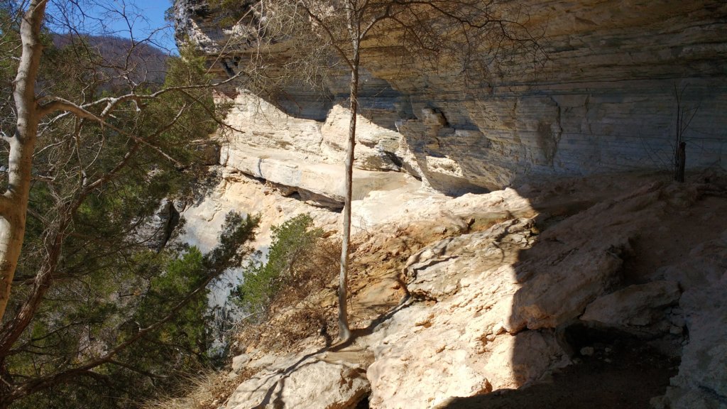 img_20180302_134507139.jpg