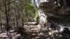 img_20180302_135338621_small.jpg