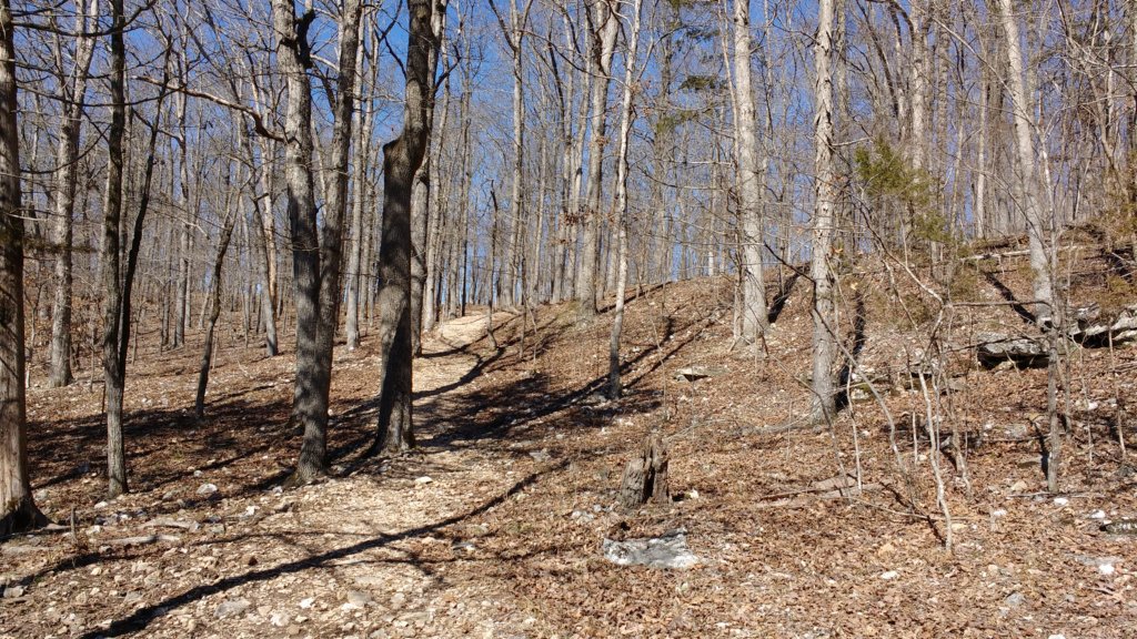 img_20180302_135715613.jpg