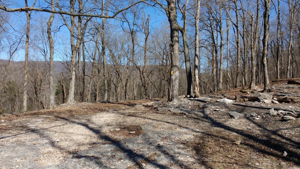 img_20180302_135912863.jpg