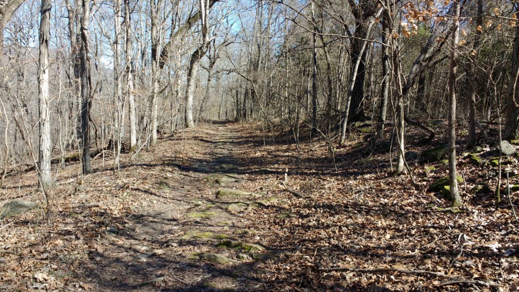 img_20180302_140643364.jpg