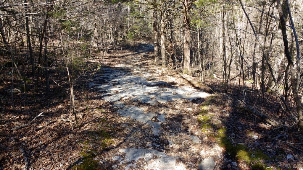 img_20180302_142019735.jpg