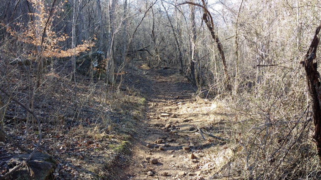 img_20180302_152130849.jpg