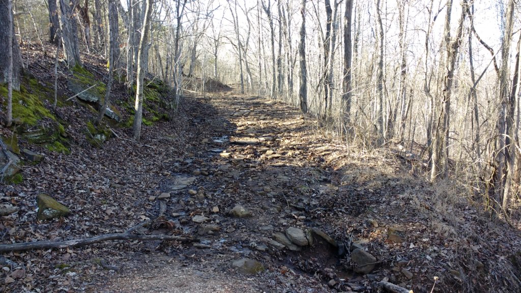 img_20180302_153025402.jpg