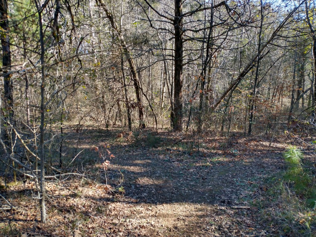 img_20221119_101921459_hdr.jpg
