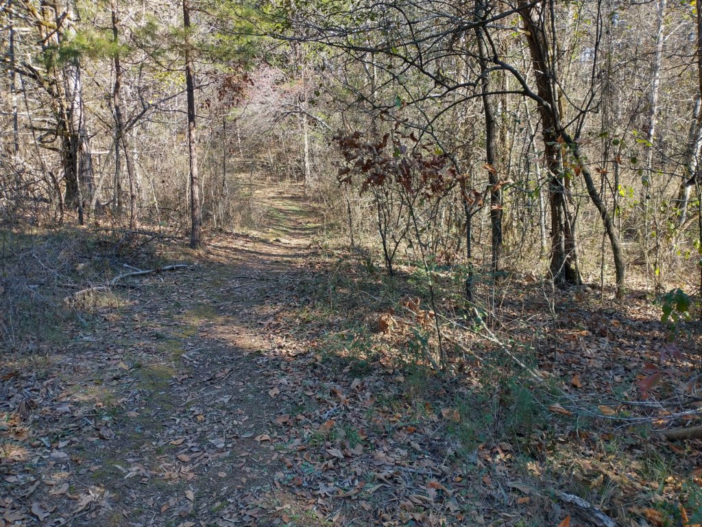 img_20221119_102303973_hdr.jpg