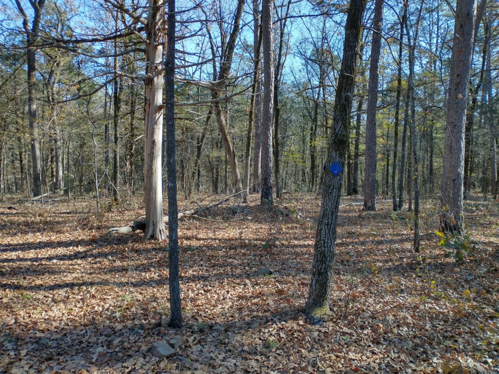 img_20221119_102522870_hdr.jpg