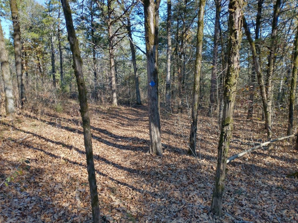 img_20221119_103136459_hdr.jpg