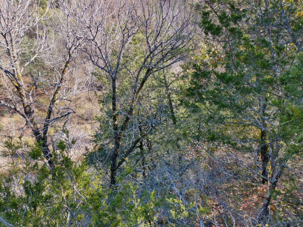 img_20221119_103718675_hdr.jpg