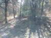 img_20221119_104213697_small.jpg