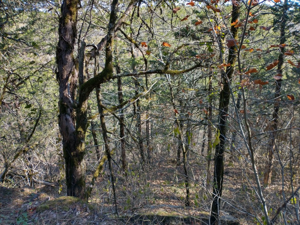 img_20221119_104335656_hdr.jpg