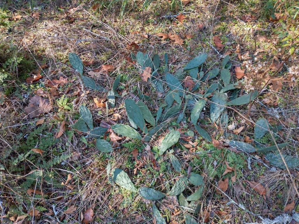 img_20221119_104637552_hdr.jpg