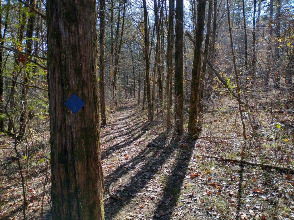 img_20221119_105245468_hdr.jpg