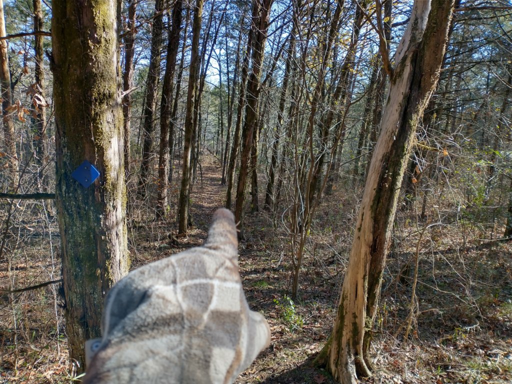 img_20221119_105445495_hdr.jpg