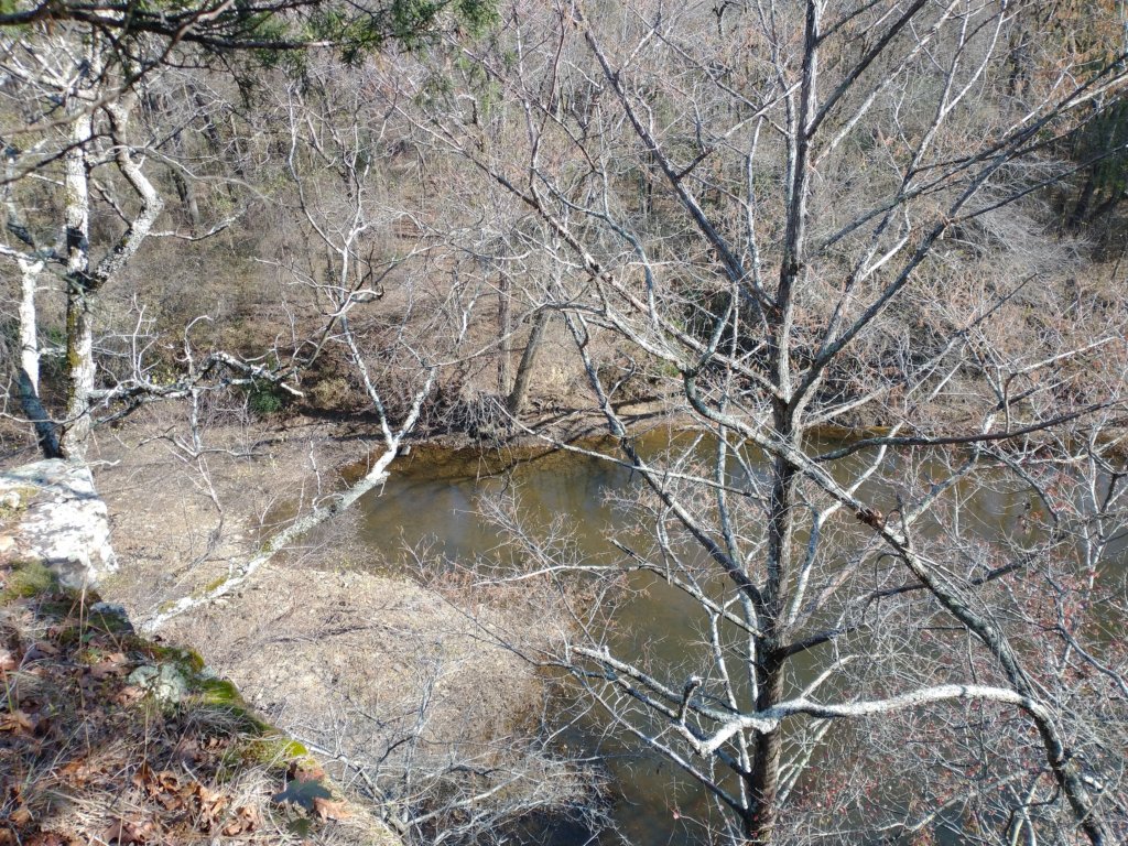 img_20221119_105619881.jpg