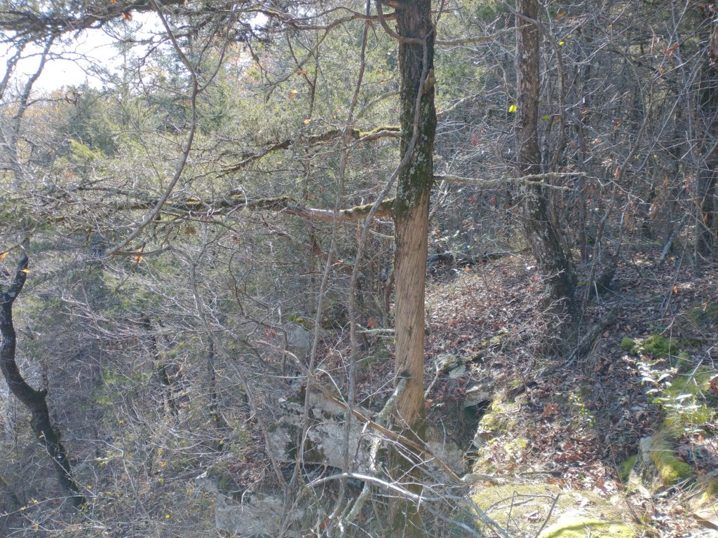 img_20221119_105627566.jpg