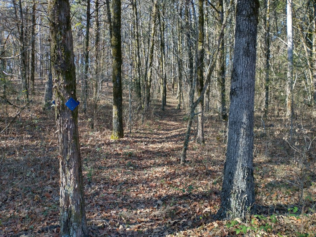 img_20221119_105838241_hdr.jpg