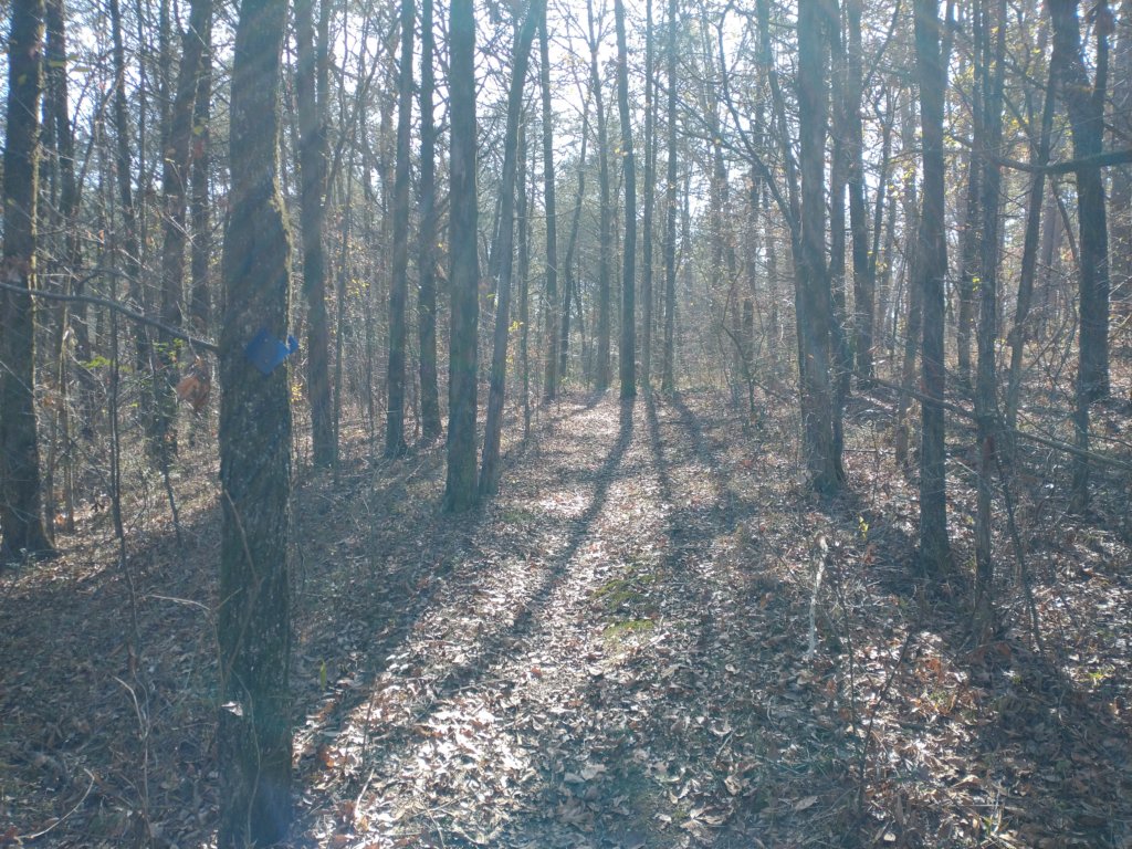 img_20221119_110050643.jpg
