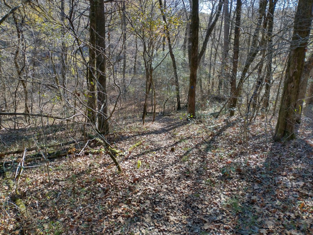 img_20221119_110456617_hdr.jpg
