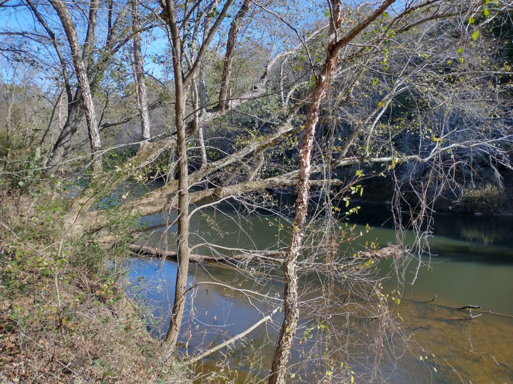 img_20221119_110745237_hdr.jpg