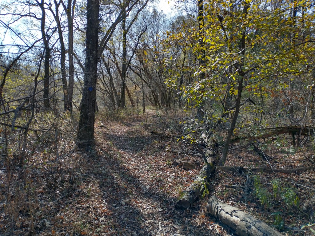img_20221119_110909063_hdr.jpg