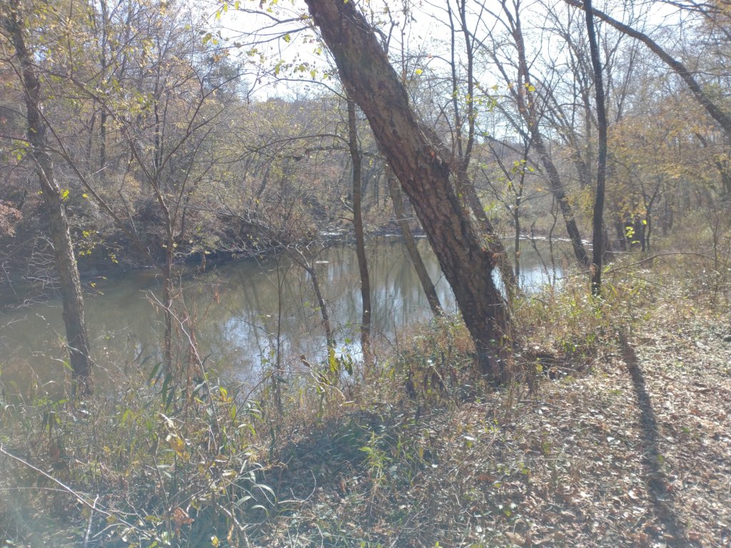 img_20221119_110954320.jpg