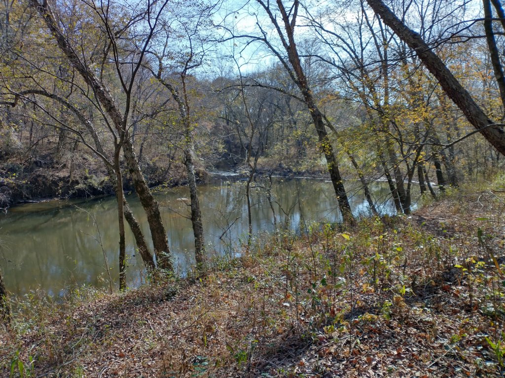 img_20221119_111018641_hdr.jpg
