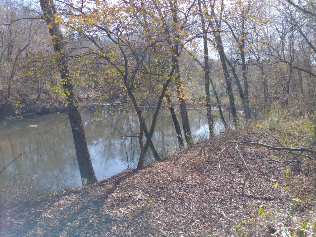 img_20221119_111104316.jpg