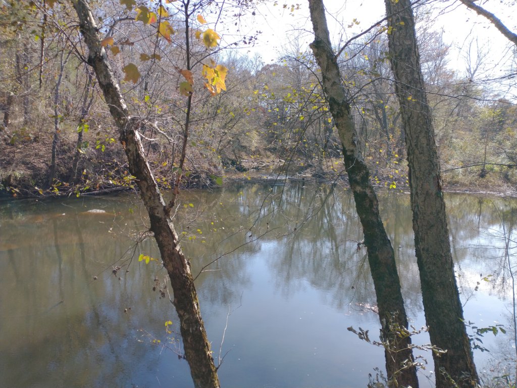 img_20221119_111135134.jpg