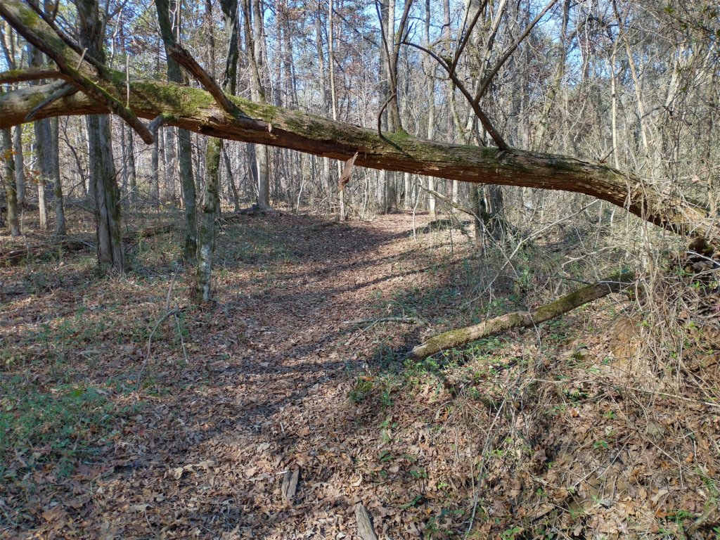 img_20221119_112228992_hdr.jpg