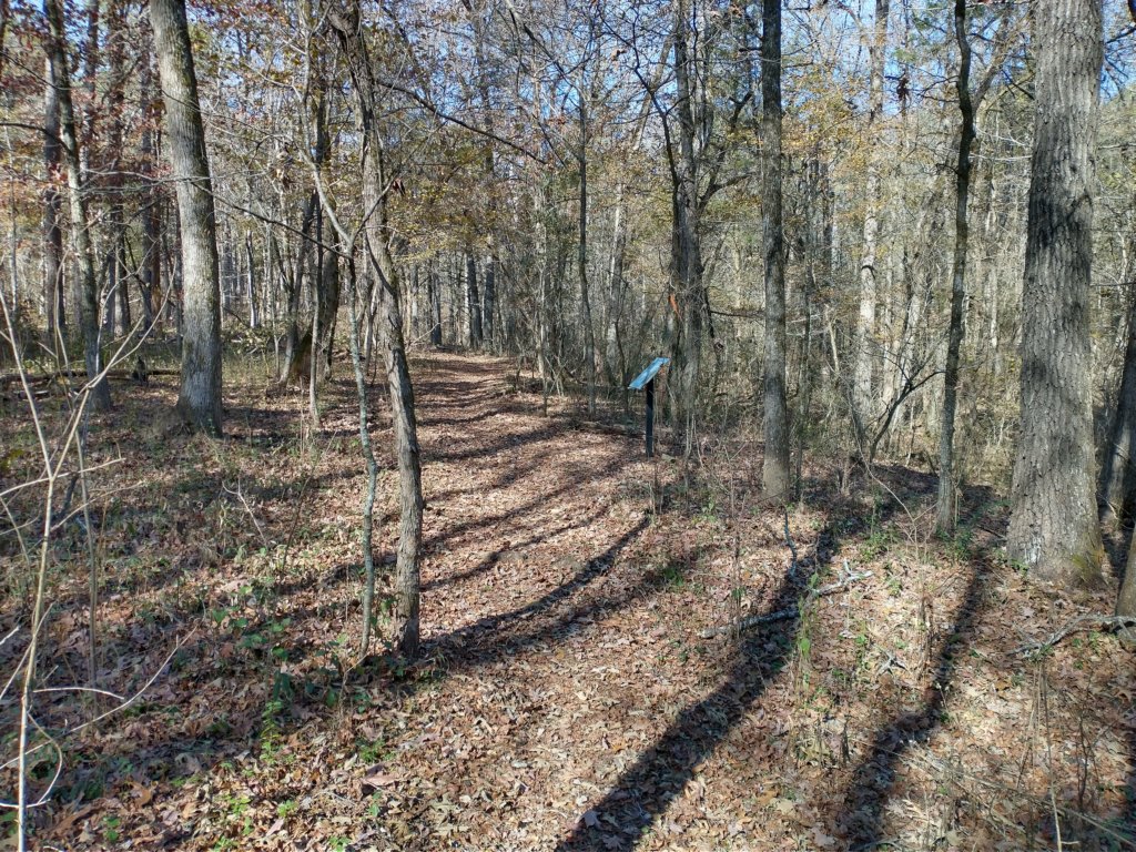img_20221119_112309959_hdr.jpg