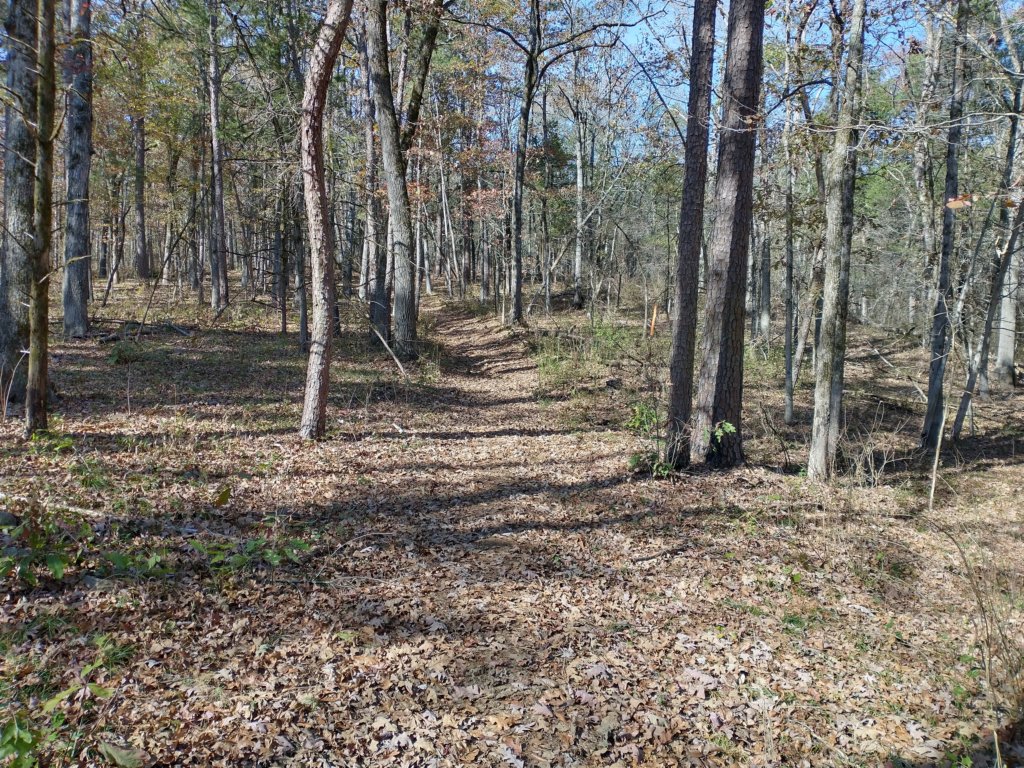 img_20221119_112545382_hdr.jpg
