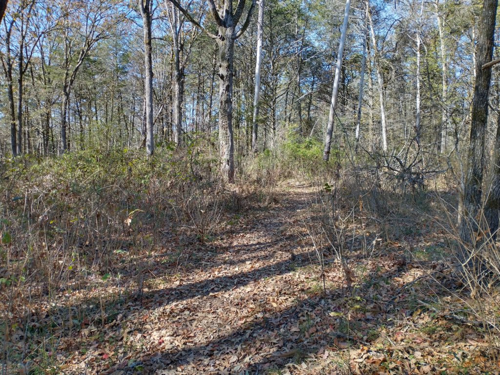 img_20221119_112909861_hdr.jpg