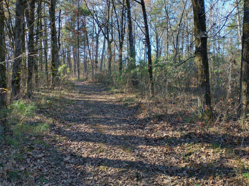 img_20221119_113522672_hdr.jpg